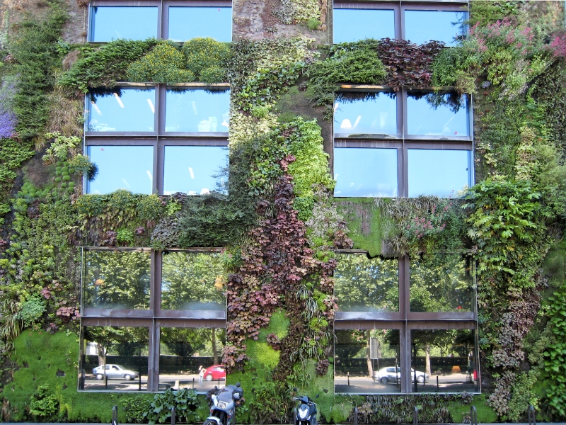 Wall garden, Paris France.jpg - Wall garden